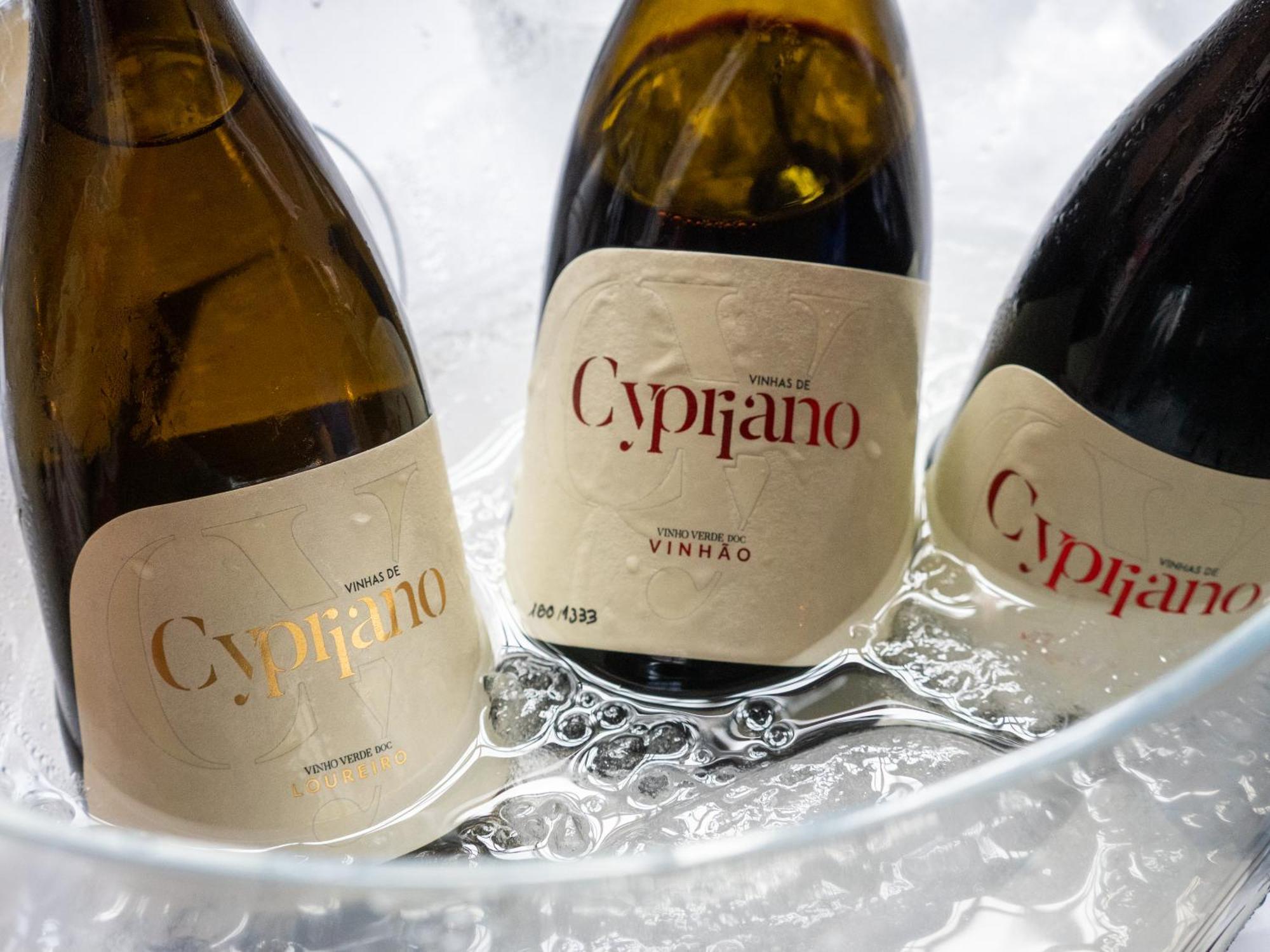 Quinta De Cypriano - Wine & Nature Ponte da Barca Exterior foto